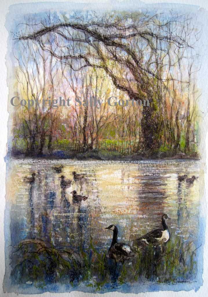 Dusk at Broadwater Lake