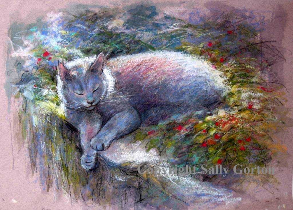 Molly in the winter sun.